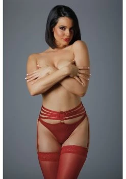 Allure Lingerie Inc. 4ever Yours Garter Panty -Cheap Lingerie Store juu1qbqeaj9zvcohxiv5