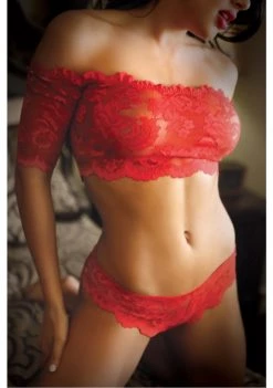 Fantasy Lingerie Rose And Thorn Lace Crop Top And Panty